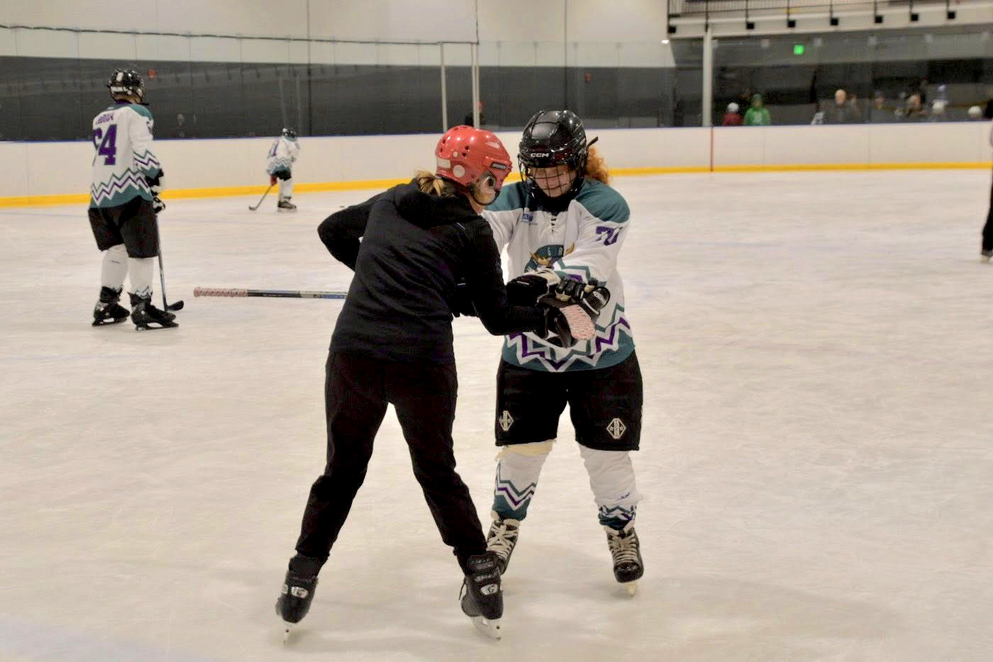 Play Hockey Programs