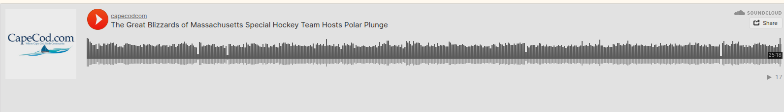 Sunday Journal – The Great Blizzards of Massachusetts Special Hockey Team Hosts Polar Plunge